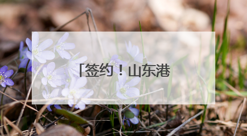 签约！山东港口渤海湾港首次携手国外港口开展供应链合作