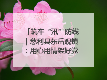 筑牢“汛”防线｜慈利县东岳观镇：用心用情架好党群温暖悠长的“连心桥”