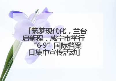 筑梦现代化，兰台启新程，咸宁市举行“6·9”国际档案日集中宣传活动