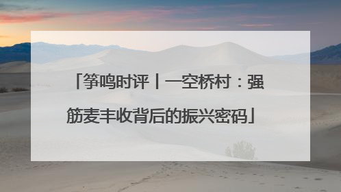 筝鸣时评丨一空桥村：强筋麦丰收背后的振兴密码