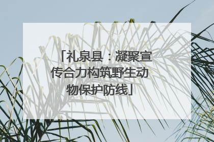 礼泉县：凝聚宣传合力构筑野生动物保护防线