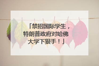 禁招国际学生，特朗普政府对哈佛大学下狠手！