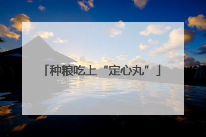 种粮吃上“定心丸”