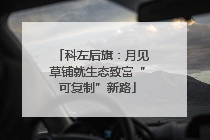 科左后旗：月见草铺就生态致富“可复制”新路