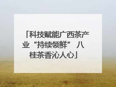 科技赋能广西茶产业“持续领鲜” 八桂茶香沁人心