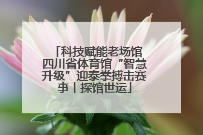 科技赋能老场馆 四川省体育馆“智慧升级”迎泰拳搏击赛事丨探馆世运