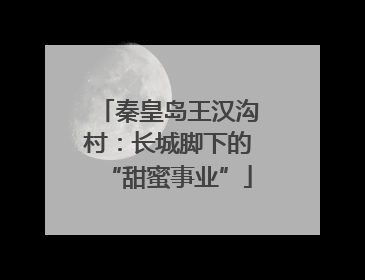秦皇岛王汉沟村：长城脚下的“甜蜜事业”
