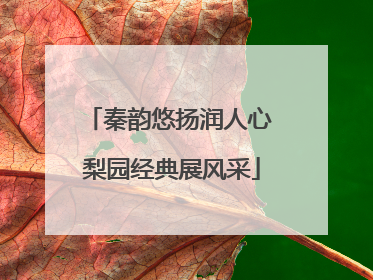 秦韵悠扬润人心 梨园经典展风采