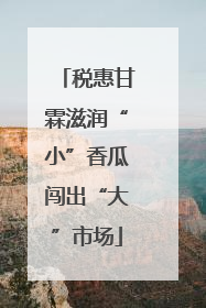 税惠甘霖滋润“小”香瓜闯出“大”市场