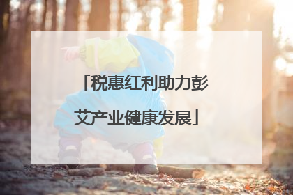 税惠红利助力彭艾产业健康发展