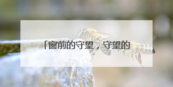 窗前的守望，守望的是旅途的温暖与安心