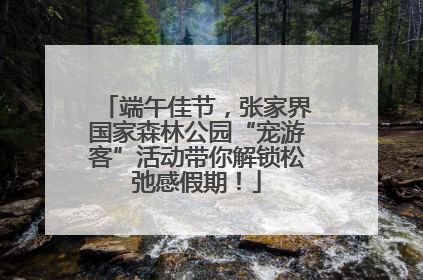 端午佳节，张家界国家森林公园“宠游客”活动带你解锁松弛感假期！