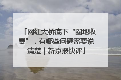 网红大桥底下“圈地收费”，有哪些问题需要说清楚｜新京报快评