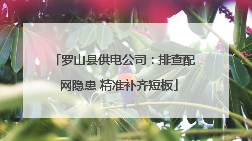 罗山县供电公司：排查配网隐患 精准补齐短板