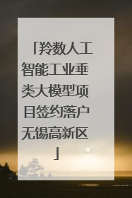 羚数人工智能工业垂类大模型项目签约落户无锡高新区
