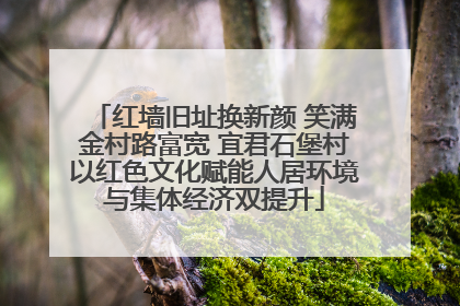 红墙旧址换新颜 笑满金村路富宽 宜君石堡村以红色文化赋能人居环境与集体经济双提升