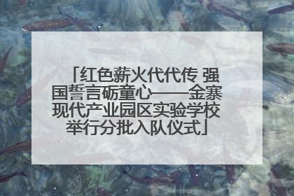 红色薪火代代传 强国誓言砺童心——金寨现代产业园区实验学校举行分批入队仪式