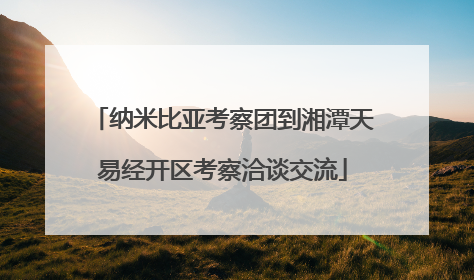 纳米比亚考察团到湘潭天易经开区考察洽谈交流