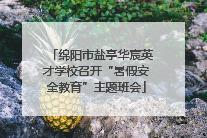 绵阳市盐亭华宸英才学校召开“暑假安全教育”主题班会