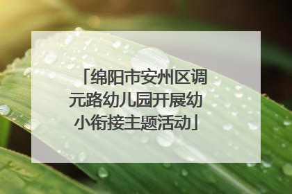 绵阳市安州区调元路幼儿园开展幼小衔接主题活动