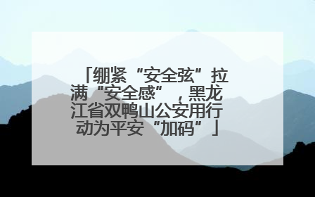 绷紧“安全弦”拉满“安全感”，黑龙江省双鸭山公安用行动为平安“加码”