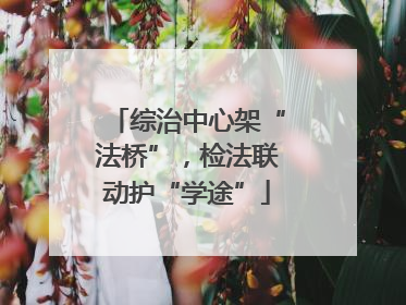 综治中心架“法桥”，检法联动护“学途”