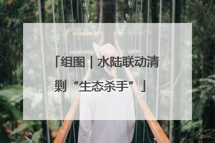 组图｜水陆联动清剿“生态杀手”