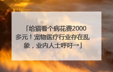 给猫看个病花费2000多元！宠物医疗行业存在乱象，业内人士呼吁→