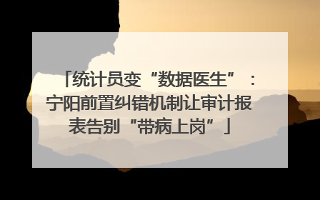 统计员变“数据医生”：宁阳前置纠错机制让审计报表告别“带病上岗”