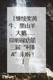 继续奖黄牛、黑山羊、大鹅……昆明禄劝第三届“村BA”来啦！