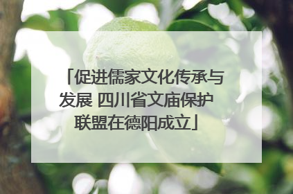 促进儒家文化传承与发展 四川省文庙保护联盟在德阳成立