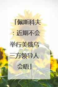 佩斯科夫：近期不会举行美俄乌三方领导人会晤