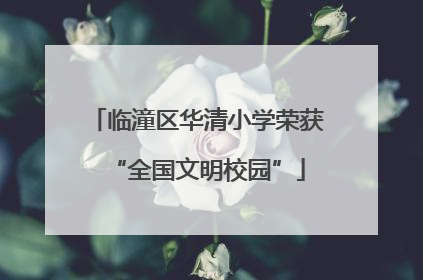 临潼区华清小学荣获“全国文明校园”