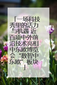 一场科技秀里的活力与机遇 近百项中外前沿技术亮相中东欧博览会“数智中东欧”板块