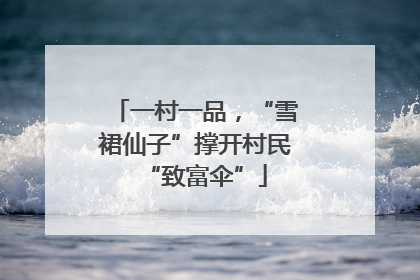 一村一品，“雪裙仙子”撑开村民“致富伞”
