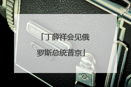 丁薛祥会见俄罗斯总统普京