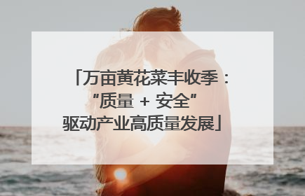 万亩黄花菜丰收季：“质量 + 安全” 驱动产业高质量发展