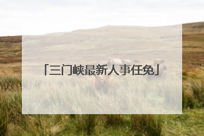 三门峡最新人事任免