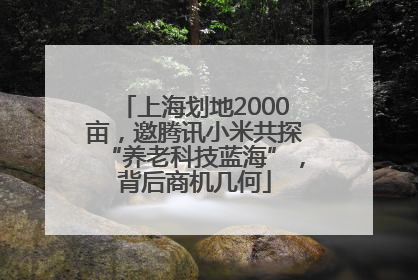 上海划地2000亩，邀腾讯小米共探“养老科技蓝海”，背后商机几何