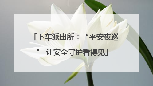 下车派出所：“平安夜巡” 让安全守护看得见