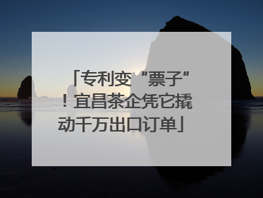 专利变“票子”！宜昌茶企凭它撬动千万出口订单