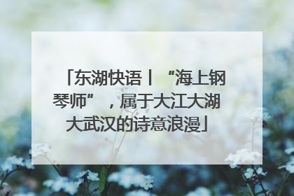 东湖快语丨“海上钢琴师”，属于大江大湖大武汉的诗意浪漫