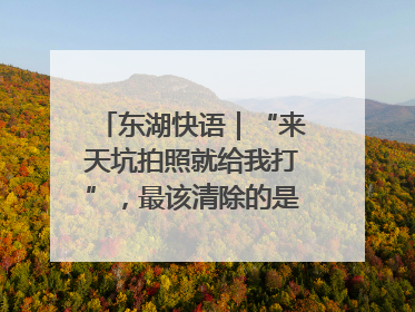 东湖快语｜“来天坑拍照就给我打”，最该清除的是“护短”思维