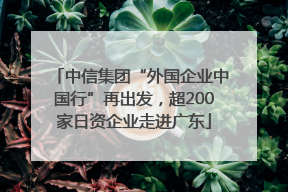 中信集团“外国企业中国行”再出发，超200家日资企业走进广东