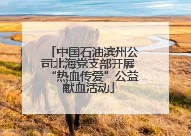 中国石油滨州公司北海党支部开展“热血传爱”公益献血活动