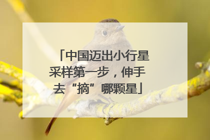 中国迈出小行星采样第一步，伸手去“摘”哪颗星