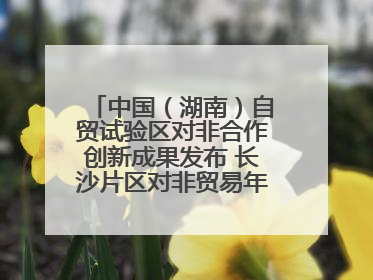 中国（湖南）自贸试验区对非合作创新成果发布 长沙片区对非贸易年均增长141%