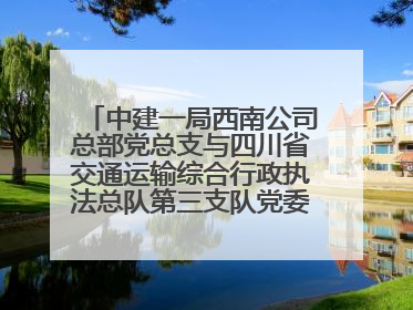 中建一局西南公司总部党总支与四川省交通运输综合行政执法总队第三支队党委、万源市草坝镇莲花院村党支部开展党建联建