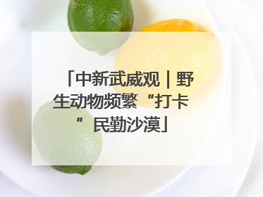 中新武威观｜野生动物频繁“打卡”民勤沙漠