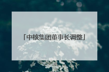 中核集团董事长调整